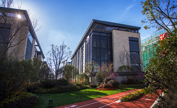 1715828564538676.jpg 6363244588329687509820791.jpg